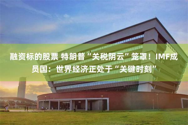 融资标的股票 特朗普“关税阴云”笼罩！IMF成员国：世界经济正处于“关键时刻”