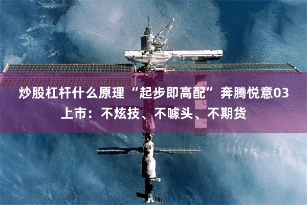 炒股杠杆什么原理 “起步即高配” 奔腾悦意03上市：不炫技、不噱头、不期货