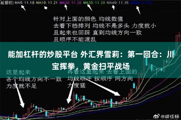 能加杠杆的炒股平台 外汇界雪莉：第一回合：川宝挥拳，黄金扫平战场
