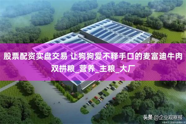 股票配资实盘交易 让狗狗爱不释手口的麦富迪牛肉双拼粮_营养_主粮_大厂