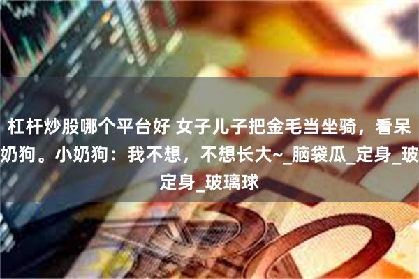 杠杆炒股哪个平台好 女子儿子把金毛当坐骑，看呆俩小奶狗。小奶狗：我不想，不想长大~_脑袋瓜_定身_玻璃球