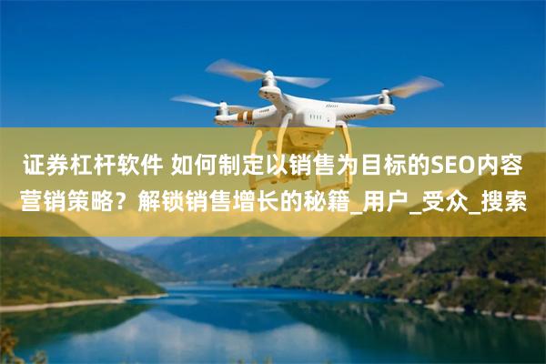 证券杠杆软件 如何制定以销售为目标的SEO内容营销策略？解锁销售增长的秘籍_用户_受众_搜索
