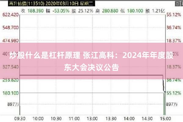 炒股什么是杠杆原理 张江高科：2024年年度股东大会决议公告