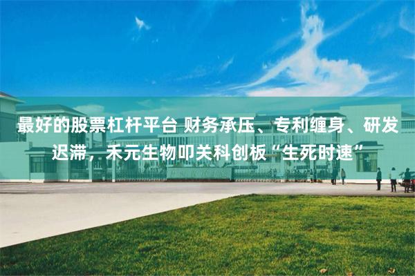 最好的股票杠杆平台 财务承压、专利缠身、研发迟滞，禾元生物叩关科创板“生死时速”