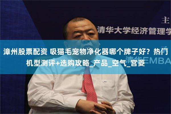 漳州股票配资 吸猫毛宠物净化器哪个牌子好？热门机型测评+选购攻略_产品_空气_宫菱