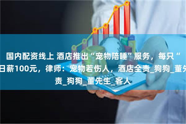 国内配资线上 酒店推出“宠物陪睡”服务，每只“陪睡犬”日薪100元，律师：宠物若伤人，酒店全责_狗狗_董先生_客人