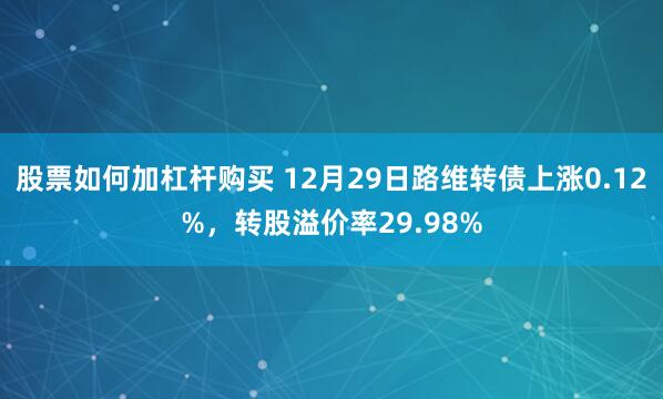 股票如何加杠杆购买 12月29日路维转债上涨0.12%，转股溢价率29.98%